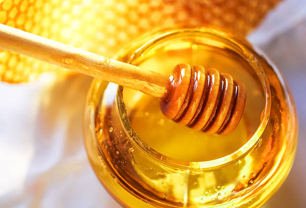 Istockphoto 162847094 612x612